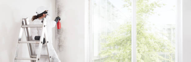 Best Indoor Air Quality Assessment  in Pea Ridge, WV