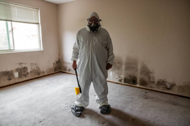 Best Mold Prevention Services  in Pea Ridge, WV
